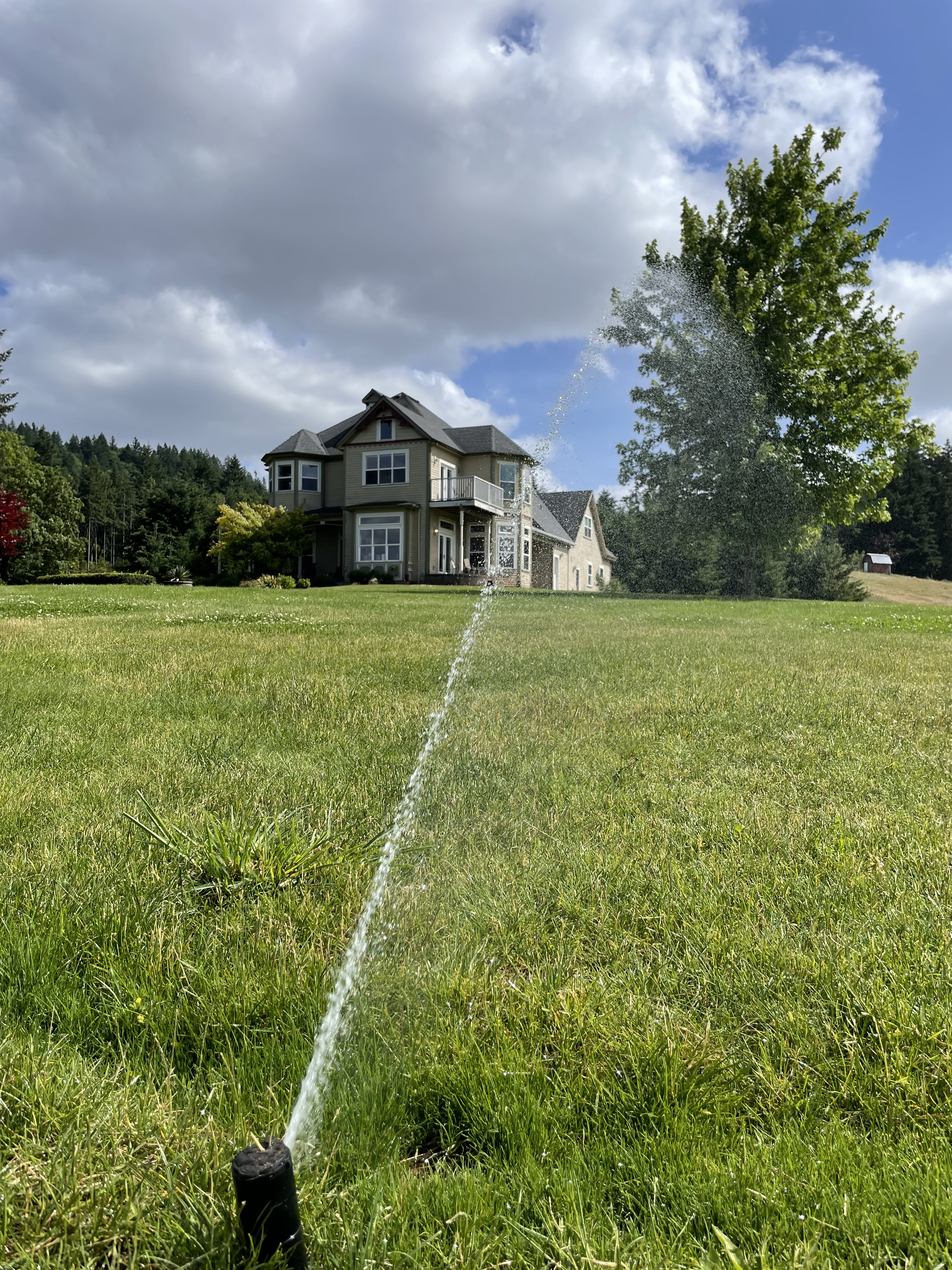 New Sprinklers System Installation