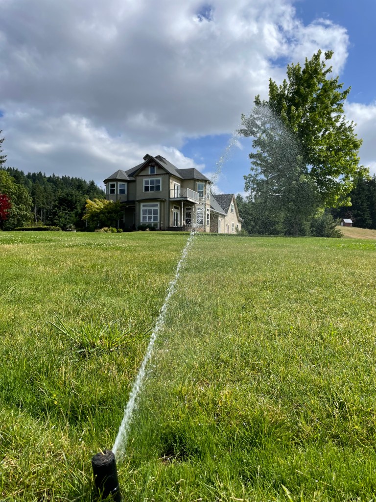 New Sprinklers System Installation